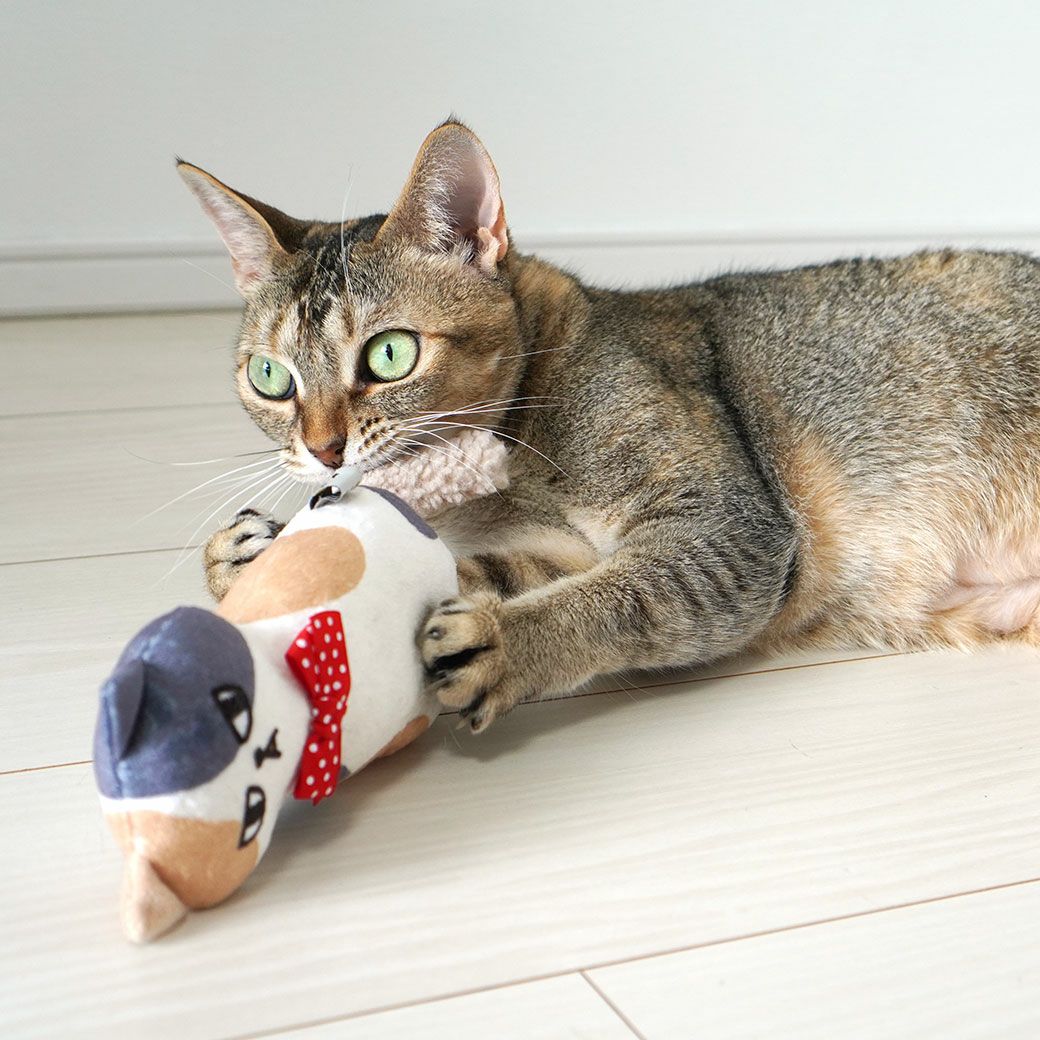 iCat ケリケリおこニャン キャットニップとカシャカシャ入り アイ