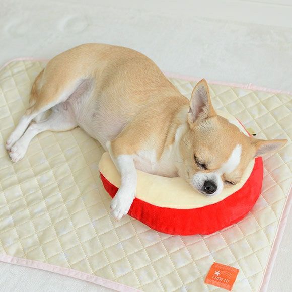 【 犬 猫 枕 】IDOG&ICAT もぐもぐピロー アイドッグ