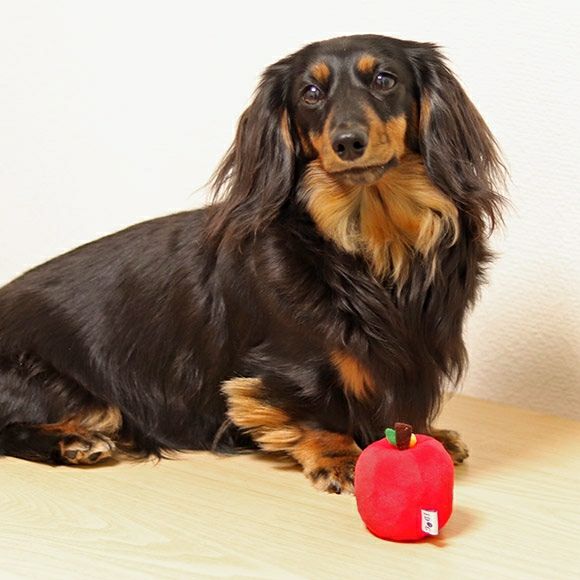 iDog＆iCat本店】iDog りんごボール 鈴入り アイドッグ-犬猫ペット用品