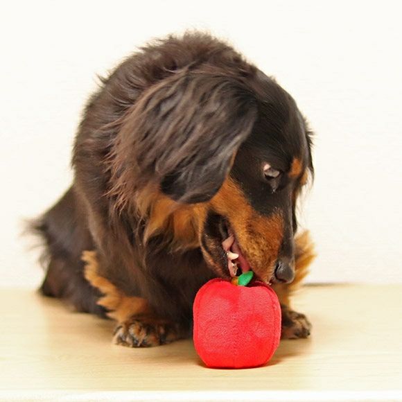 iDog＆iCat本店】iDog りんごボール 鈴入り アイドッグ-犬猫ペット用品