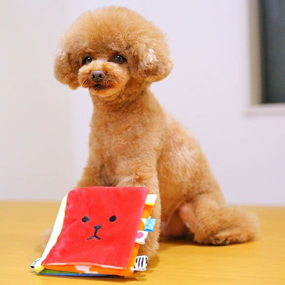 iDog＆iCat本店】iDog ワンコのえほん カシャカシャ入り アイドッグ-犬