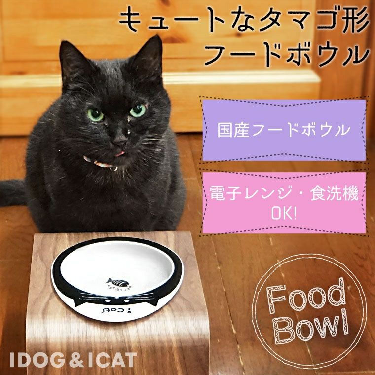 iDog＆iCat本店】IDOG&ICAT ドゥーエッグフードボウル浅皿 キャット
