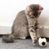【 猫 おもちゃ 】iCaTOY コロコロフェルトTOY サッカーボール