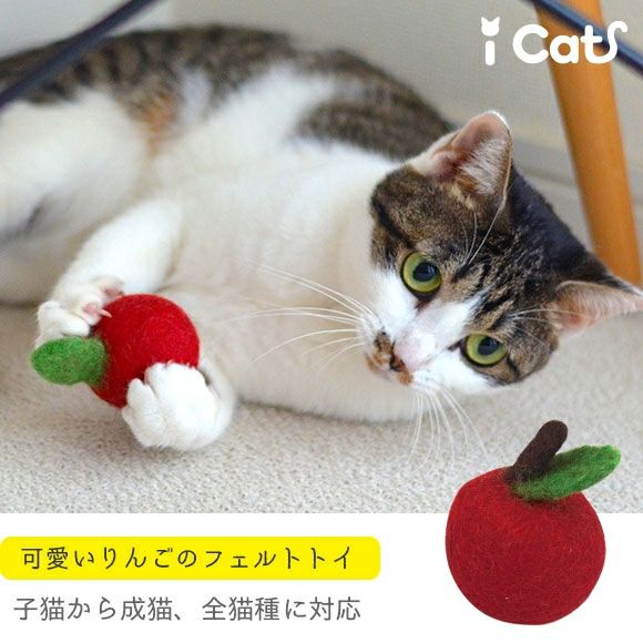 econeco エコネコ絵子猫　リンゴクッション　ハンドメイドApple iDog＆iCat本店】iCaTOY コロコロフェルトTOY りんご -犬猫ペット用品