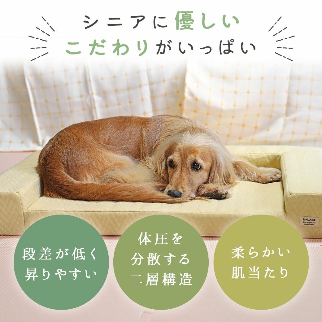 IDOG&ICAT UNAGE アンエイジ 体圧分散シニアローベッド カドラータイプ