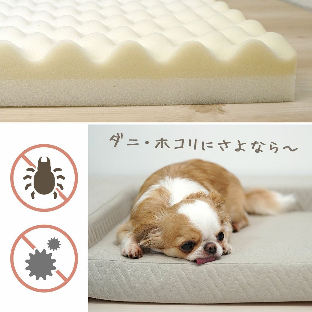 IDOG&ICAT UNAGE アンエイジ 体圧分散シニアローベッド カドラータイプ
