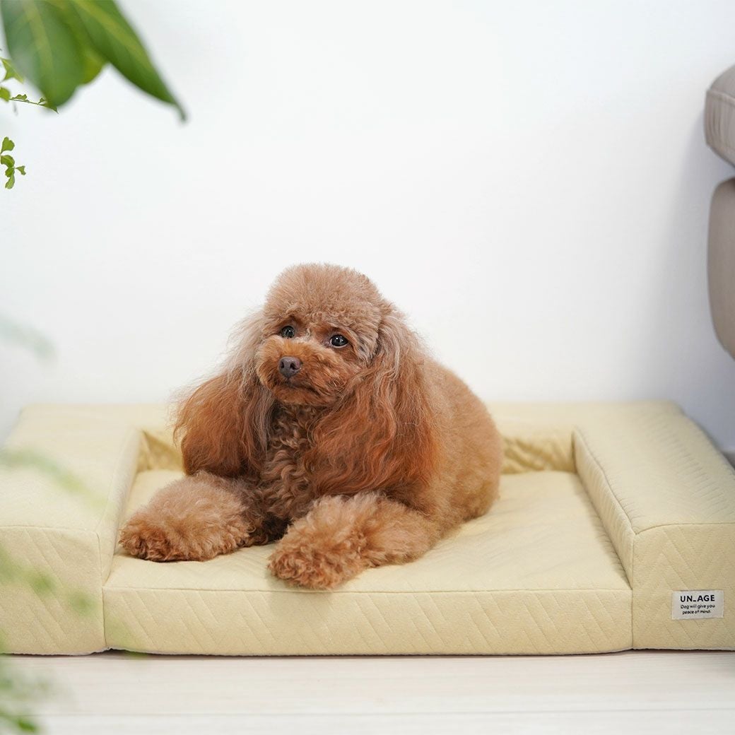 IDOG&ICAT UNAGE アンエイジ 体圧分散シニアローベッド カドラータイプ