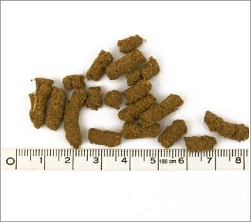 【 犬 ドッグフード 】プリモ PRIMO ベーシック 3kg×3  まとめ買いセット