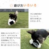 鳴き笛が入ってます