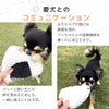底面には小さなポケット付きで、おやつが入る