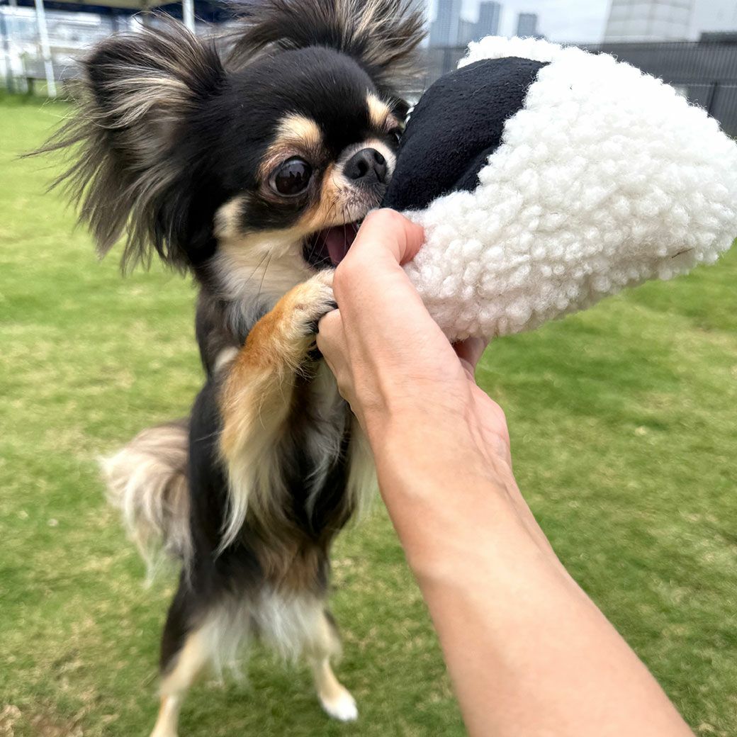 Tnewties　犬の鳴き声なびっくり　デニムジャケット　L iDog ないしょのポケット 大きなおにぎり 鳴き笛入り アイドッグ-犬猫