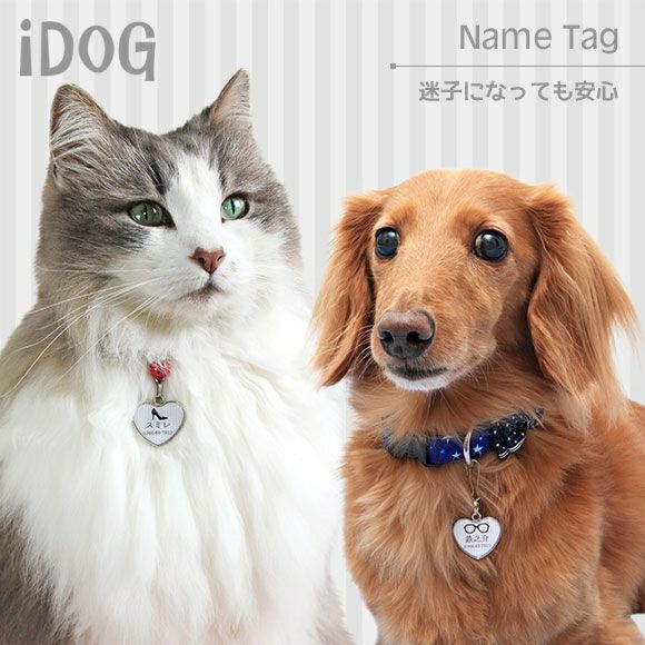 iDog＆iCat本店】iDog&iCat ネームタグ【迷子札ハート型】モノクロ-犬