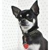 【 迷子札 犬 猫 】IDOG&ICAT ネームタグ 迷子札ハート型 心電図 メール便OK
