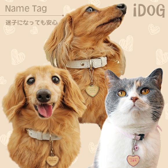 iDog＆iCat本店】iDog&iCat ネームタグ【迷子札ハート型】クッキー-犬