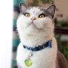 【 迷子札 犬 猫 】IDOG&ICAT ネームタグ 迷子札ハート型 りんご メール便OK