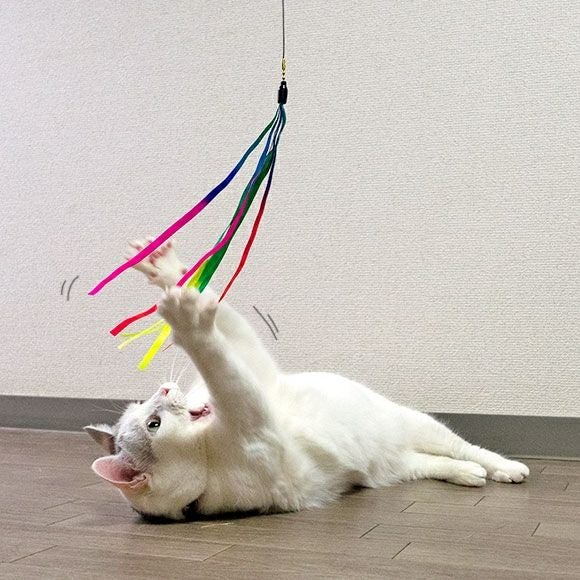 iDog＆iCat本店】iCat FLYING CAT 釣りざお猫じゃらし レインボー