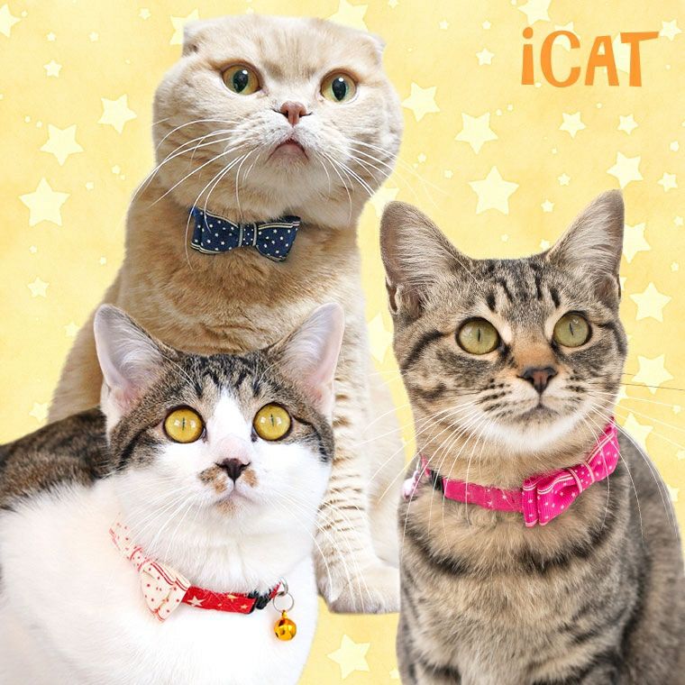 希少‼️ハローキティ 犬猫用 首輪 新品未使用 フリーサイズカラー iDog＆iCat本店】iCat キティカラー ランダムスター×スターリボン-犬猫