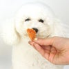 【 犬 おやつ 】どっとわん ドットわん ササミジャーキー ミニパック17g メール便OK