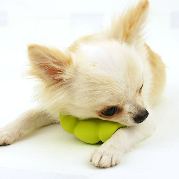 iDog＆iCat本店】ラテックスTOYさやえんどう|犬のおもちゃiDog