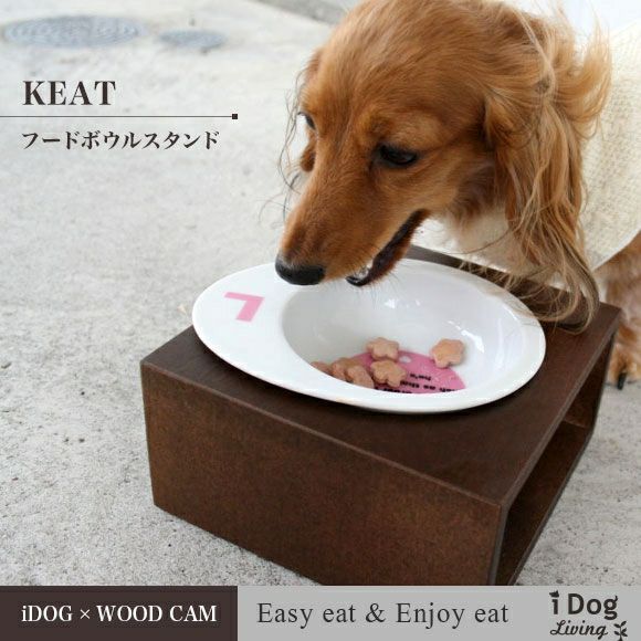 iDog＆iCat本店】iDog Living Keatキートスクエア1 Sサイズ フードボウ