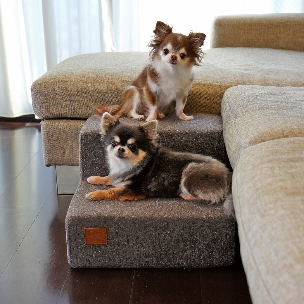 iDog＆iCat本店】iDog アイドッグ iDog Living i Step mini