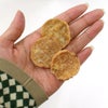 【 犬のおやつ 国産 】HAVIT ハビット チキンおからチップス