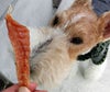 【 犬 おやつ 国産 】HAVIT ハビット 鶏ささみ