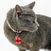 【 迷子札 犬 猫 】IDOG&ICAT オリジナルネームタグ 迷子札 角丸 UK メール便OK