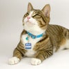 【 迷子札 犬 猫 】IDOG&ICAT オリジナルネームタグ 迷子札 角丸 ハロー メール便OK