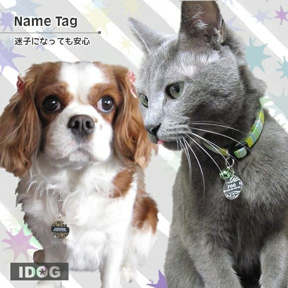 ネームタグ アイドッグ - 犬 猫ペット用品通販 IDOG&ICAT | ペット 猫