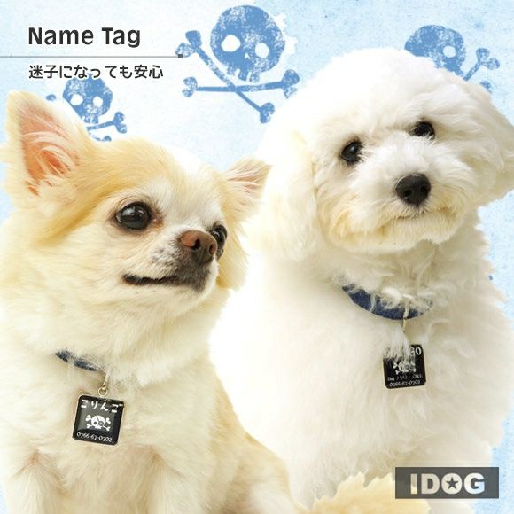 iDog＆iCat本店】iDog&iCatオリジナル ネームタグ角丸 迷子札海賊旗-犬