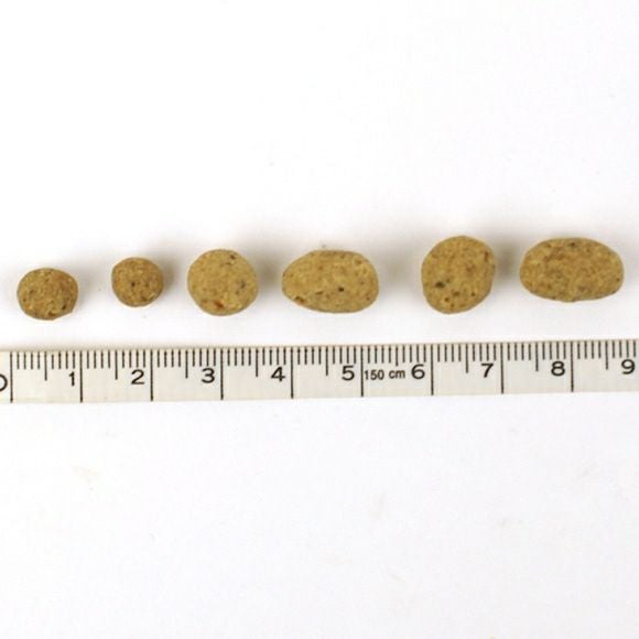 【 犬 ドッグフード 】ジロ吉ごはんだよ オールステージ 繊維少なめ1kg×3袋 まとめ買いセット