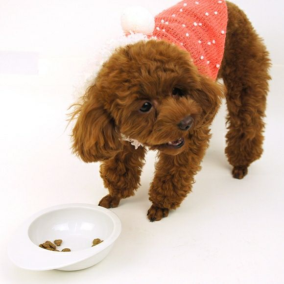 iDog＆iCat本店】SELECT BALANCE セレクトバランス エイジングケア