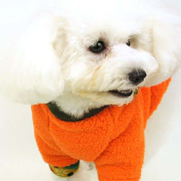iDog＆iCat本店】SELECT BALANCE セレクトバランス パピーチキン 3kg-