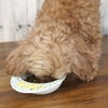 【 犬 ドッグフード 】ナチュラルハーベスト Natural Harvest シュープリーム1.1kg