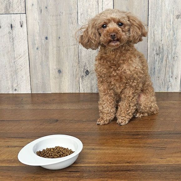 iDog＆iCat本店】ナチュラルハーベスト Natural Harvest プライム