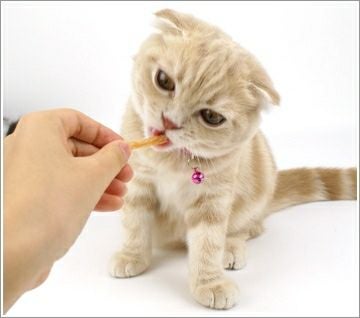 【 猫 おやつ 】ペッツルート 毛玉スッキリ ほぐれるささみ 20g メール便OK