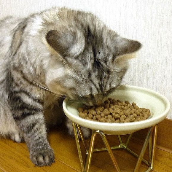 【 猫 キャットフード 】ジロ吉ごはんだよ 総合栄養食タイプ 500g