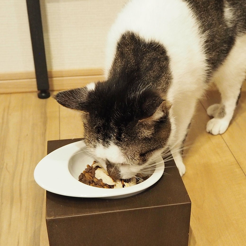 ノズくん4.6kgが試食
