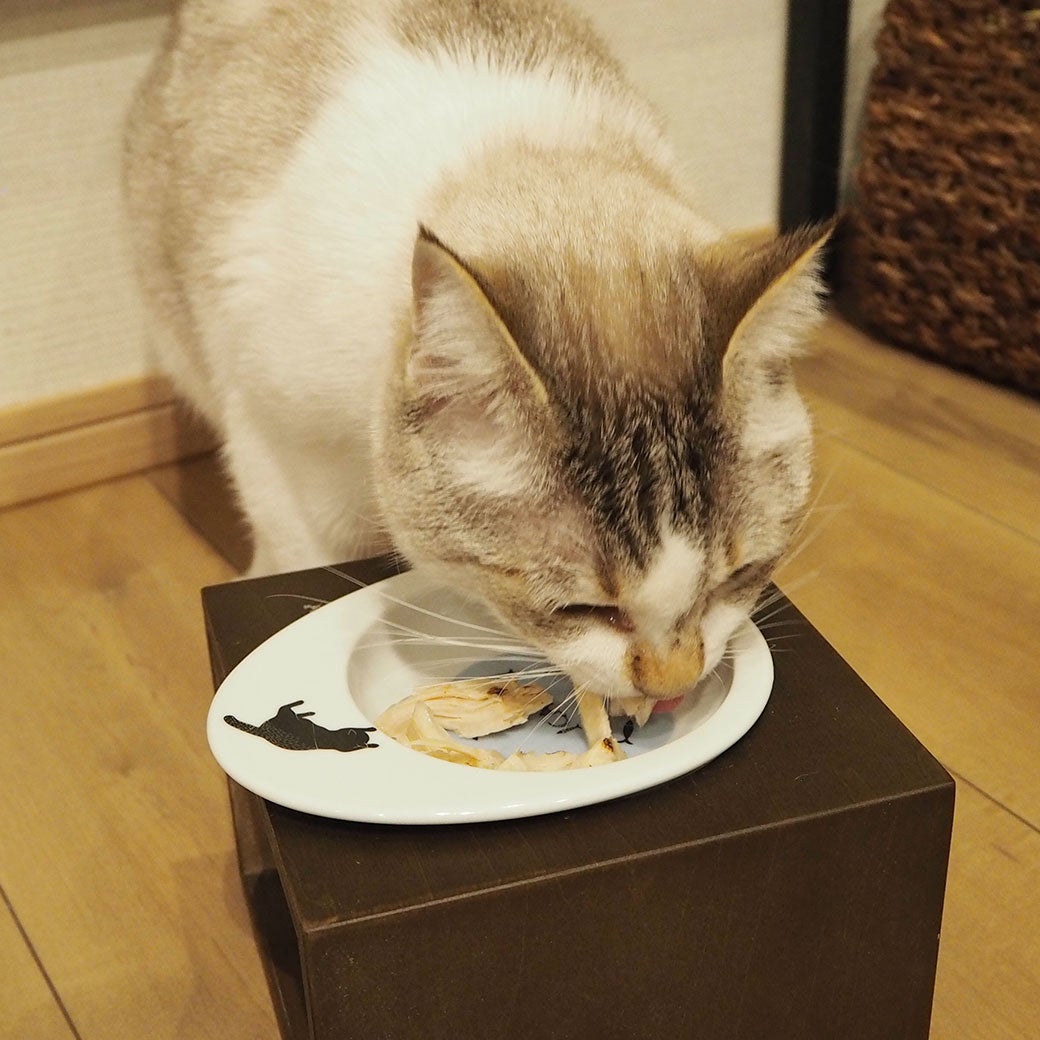 セツちゃん4.1kgが試食
