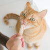 国産の猫用おやつです