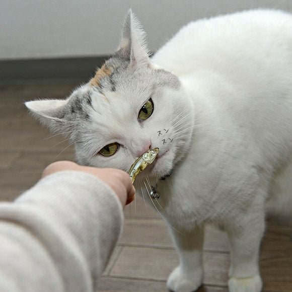 【 猫 おやつ 】Yuki Manma ゆきまんま 塩無添加にぼし