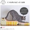 こだわりのデザイン