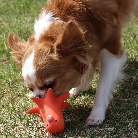 iDog TOY ラテックスTOY タコさんウィンナー IDOG&ICAT|犬 おもちゃ