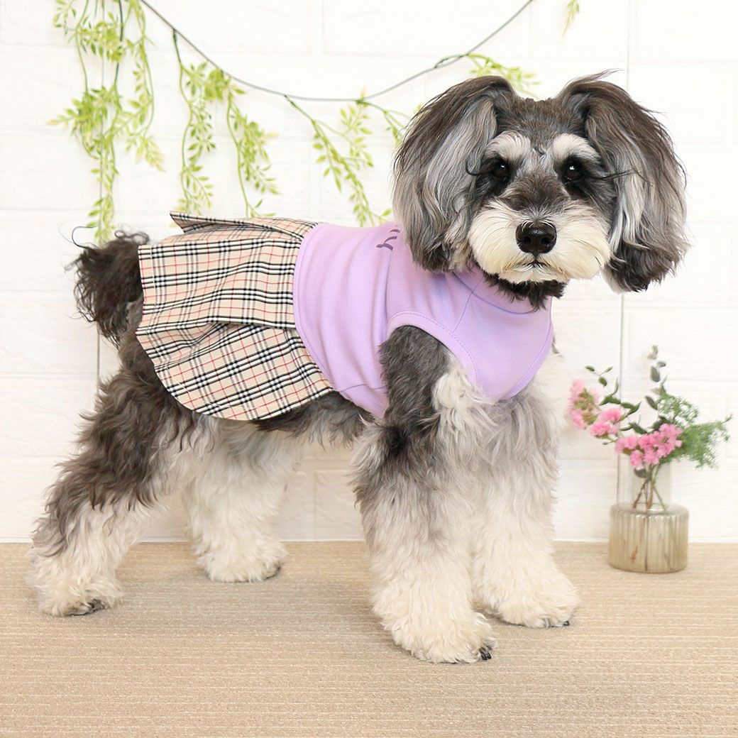 iDog 切替ボックスプリーツワンピ アイドッグ-犬猫ペット用品通販