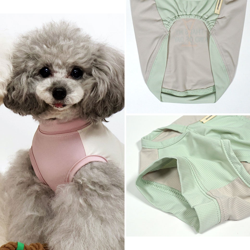 オリジナルのフルーツ柄が可愛すぎる愛犬用クールウェア