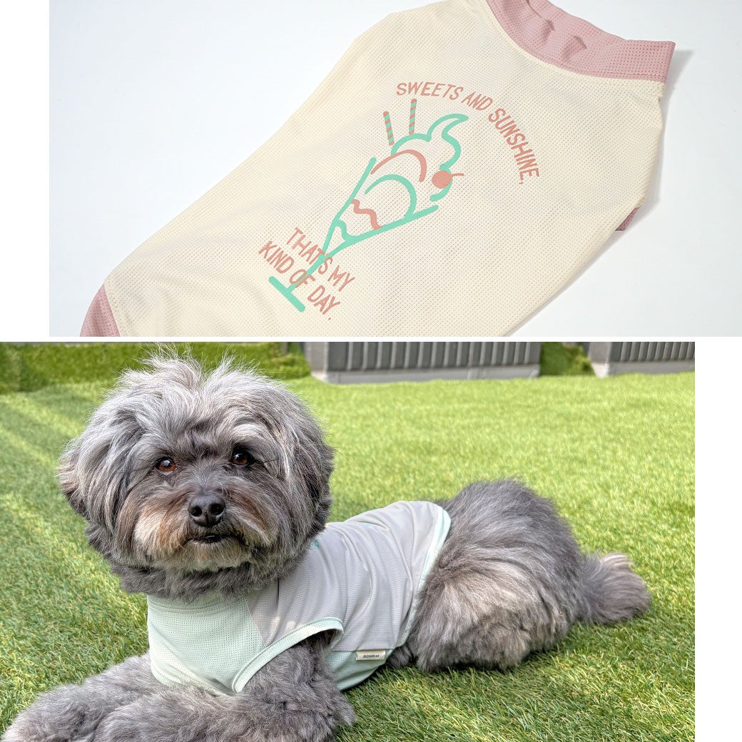 オリジナルのフルーツ柄が可愛すぎる愛犬用クールウェア