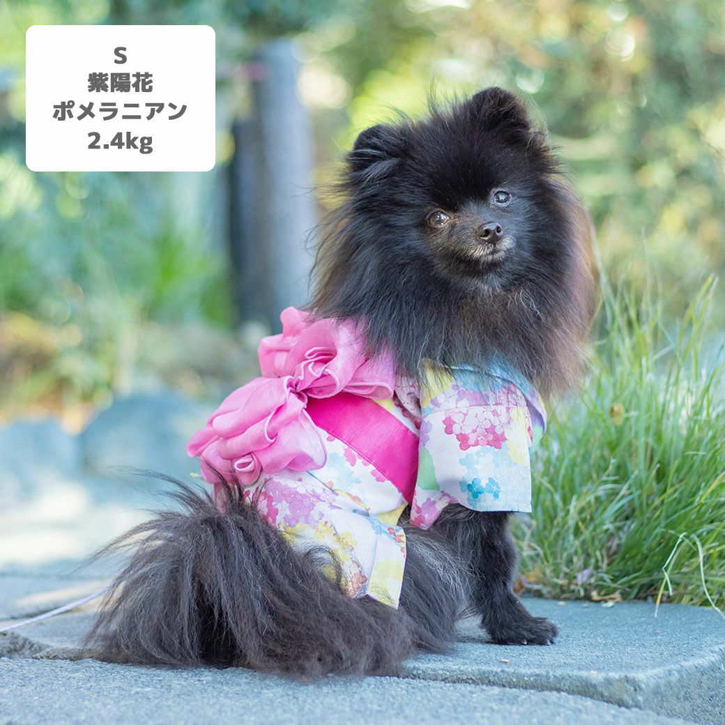 iDog MOSCAPE 華やか大輪帯浴衣 防蚊 アイドッグ-犬猫用品通販