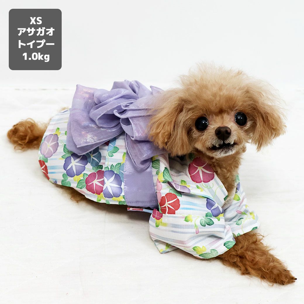 iDog MOSCAPE 華やか大輪帯浴衣 防蚊 アイドッグ-犬猫用品通販
