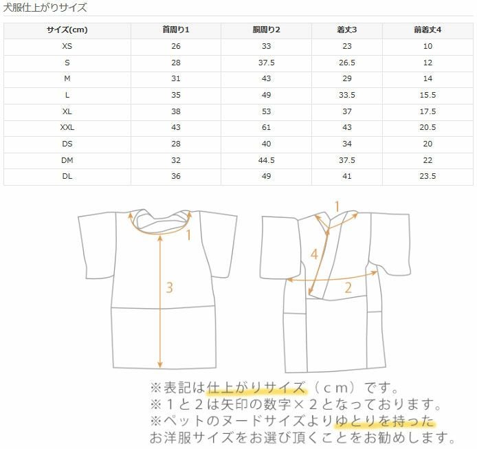 サイズ表